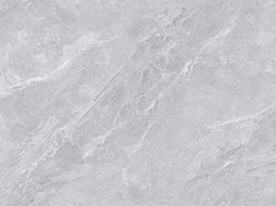 产品编号:DF8D806